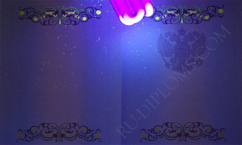 Диплом магистра 2010-2013 год 